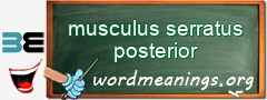 WordMeaning blackboard for musculus serratus posterior